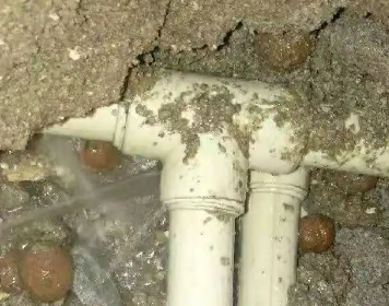 大丰测漏水多少钱