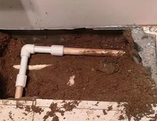 大丰测漏水哪家好