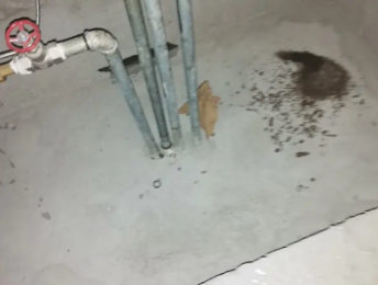 大丰卫生间测漏水价格明细