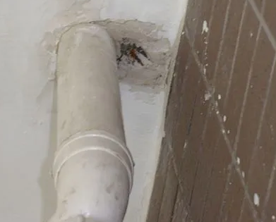 大丰漏水检测哪家好